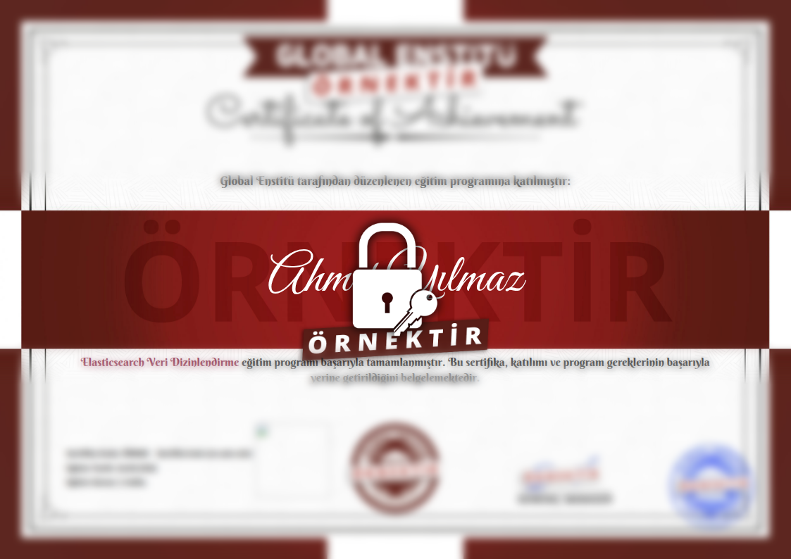 Örnek Elasticsearch Veri Dizinlendirme Sertifikası
