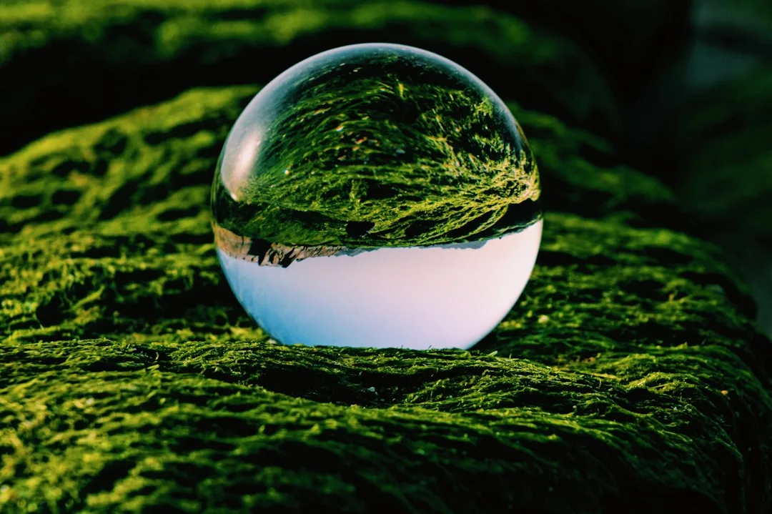 environmental sustainability concept